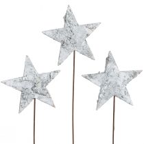 Product Birch stars on wire stars birch bark white 6cm 24 pcs