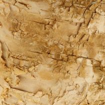 Product Planter round natural decoration bark birch pot Ø12cm H10cm 5pcs