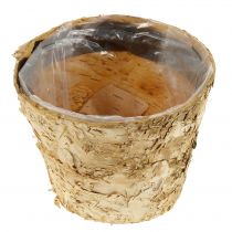 Product Round planter, natural decoration, bark, birch pot, Ø12cm H10cm, 5 pieces