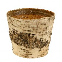 Product Birch pot planter made of bark with foil Ø15cm H13cm 3pcs