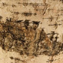 Product Birch pot planter made of bark with foil Ø15cm H13cm 3pcs