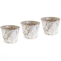 Product Pot with birch bark whitened plant pot Ø15cm H12.5cm 3 pcs
