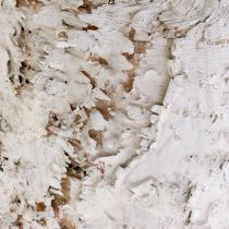 Product Pot with birch bark whitened plant pot Ø15cm H12.5cm 3 pcs