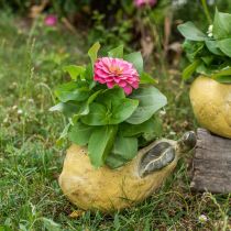 Pear for planting, autumn decoration, concrete vessel L19cm H15.5cm