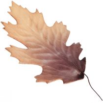 Red oak leaf autumn leaves deco leaves deco 13×19cm 12pcs