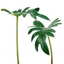 Product Leaf Philodendron 31cm Green 12 pcs