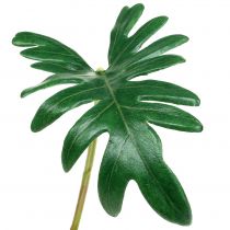 Product Leaf Philodendron 31cm Green 12 pcs