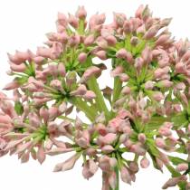 Product Allium artificial pink 55cm
