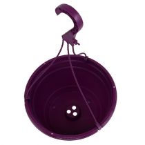 Product Hanging basket 25cm purple