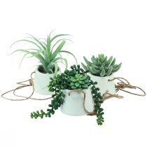 Product Hanging baskets succulents artificial green assorted 18cm 3pcs