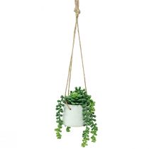 Product Hanging baskets succulents artificial green assorted 18cm 3pcs