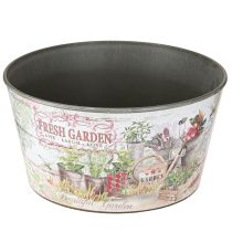 Product Flower bowl vintage plastic Fresh Garden colorful Ø21cm 2pcs