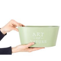 Product Flower bowl oval zinc mint green 27×18cm H12.5cm