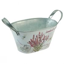 Product Flower bowl with handles oval metal lavender 32×15×15cm