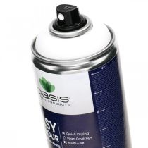 OASIS® Easy Color Spray, paint spray white, winter decoration 400ml
