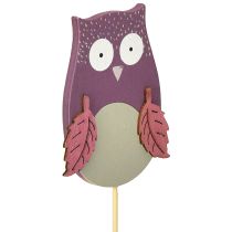 Product Flower plug deco owl wood purple, brown 8cm 12pcs
