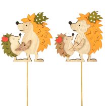 Product Flower stick hedgehog with child autumn decoration wood 8.5cm 8 pcs