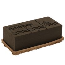 Product Floral foam 1/1 brick OASIS® Renewal® Floral Foam Biolit® 24cm 2pcs
