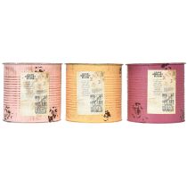 Product Vintage Design Flower Pot Can for Living Room and Office Decoration 15cm 3pcs