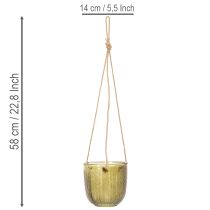 Product Glass flower pot/hanging lantern, purple/green, 14cm, 2 pieces