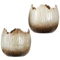 Product Flowerpot Ceramic Egg Broken Cream Brown Ø11.5cm 2 pcs