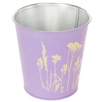Product ProductName
Set of 3 Metal Plant Pots with Pastel Floral Design, 10cm
ProductDescription
<h2>Decorative Metal Plant Pots with Pastel Floral Design</h2>
<p>Bring charm and character to your home with this set of 3 metal plant pots, featuring a de