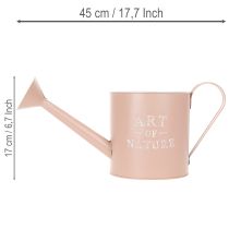 Product Vintage decorative flower pot/watering can, antique rose zinc, Ø16.5cm H17cm