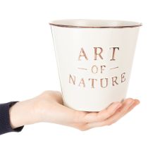 Product ProductName  
Set of 2 Decorative Metal Plant Pots with "Art of Nature" Design, 15cm, Multi-Coloured  

/ProductName  

ProductDescription  
<div>  
<h2>Decorative Metal Plant Pots with "Art of Nature" Design</h2>  
<p>Add a natural and stylish touch to y