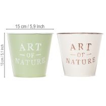 Product ProductName  
Set of 2 Decorative Metal Plant Pots with "Art of Nature" Design, 15cm, Multi-Coloured  

/ProductName  

ProductDescription  
<div>  
<h2>Decorative Metal Plant Pots with "Art of Nature" Design</h2>  
<p>Add a natural and stylish touch to y