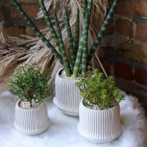 Flower pot ceramic planter with grooves white Ø12cm H10.5cm