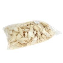 Product Brachyciton bleached 500g