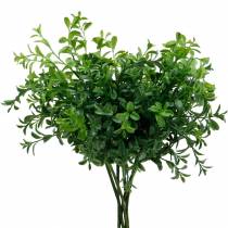 Product Boxwood branches boxwood on the pick artificial green plant 6 pieces