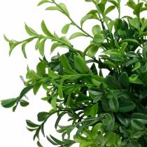 Product Boxwood branches boxwood on the pick artificial green plant 6 pieces