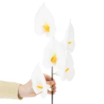 Product Artificial Calla Lily with yellow stamen, decorative blossoms, 35cm, 10 pieces