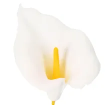 Product Artificial Calla Lily with yellow stamen, decorative blossoms, 35cm, 10 pieces