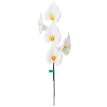 Product Artificial Calla Lily with yellow stamen, decorative blossoms, 35cm, 10 pieces