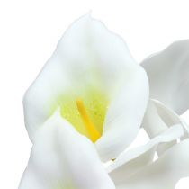 Product Calla on Wire Small White 50 Pcs