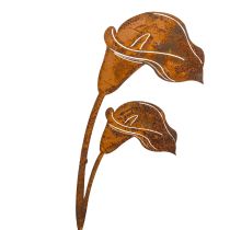Product Garden stake Calla flower rust for graves and floristry 25cm 6pcs