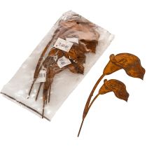 Product Garden stake Calla flower rust for graves and floristry 25cm 6pcs