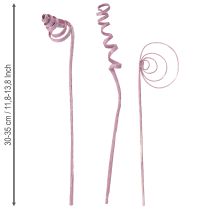 Product Cane Coil Cane Cone Cane Assortment Berry 30cm 75 pcs