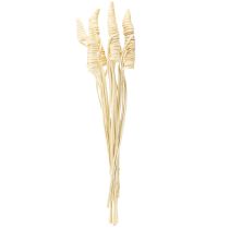 Product Cane Cone bleached 25 pcs
