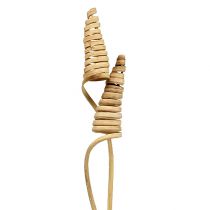 Product Cane Cone natural 25 pcs