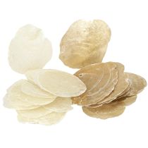 Product Capiz discs in natural gold shell shells 60 pcs