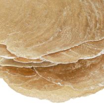 Product Capiz discs in natural gold shell shells 60 pcs