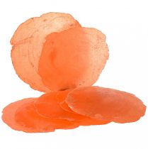 Product Capiz Shells Capiz Discs Mother of Pearl Discs Orange 7.5–9.5cm 300g