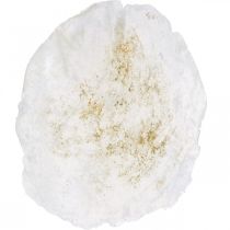 Product Maritime, Capiz shells 5–10 cm, mother of pearl, natural item 1 kg