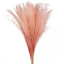Product Miscanthus Miscanthus Light Pink Dry Grass 75cm Artificial Plant Room Decoration Pack of 10