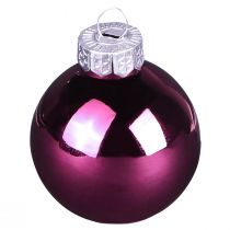 Product Christmas tree balls glass tree balls Berry Mix Ø5cm 24 pcs Berry Pink Beige cream shiny