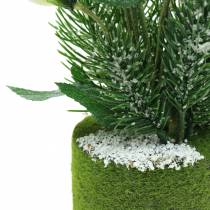Product Christmas rose with fir tree and moss balls artificially snowed white 33cm