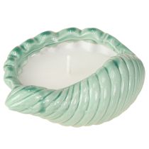 Product Citronella Candle Shell Ceramic Outdoor Candle 14cm 3pcs